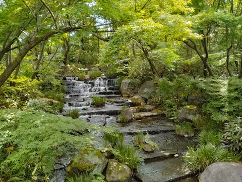清流が奏でる緑の囁き