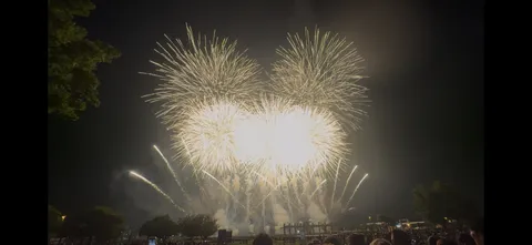 夜空を彩る大輪の花火