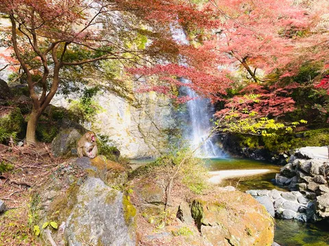 紅葉と滝の静かな午後