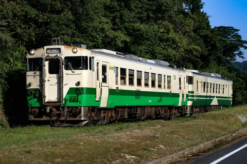 五井行き、森を抜ける列車