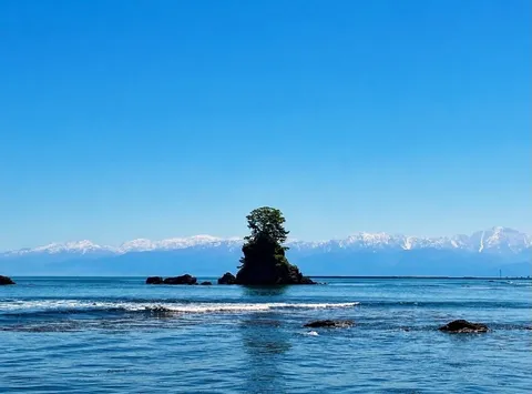 孤高の緑、雪山と青い海