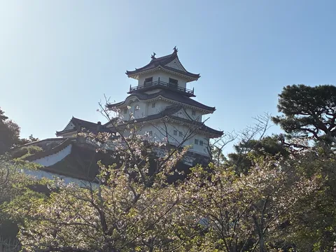 桜越しに見る白亜の城