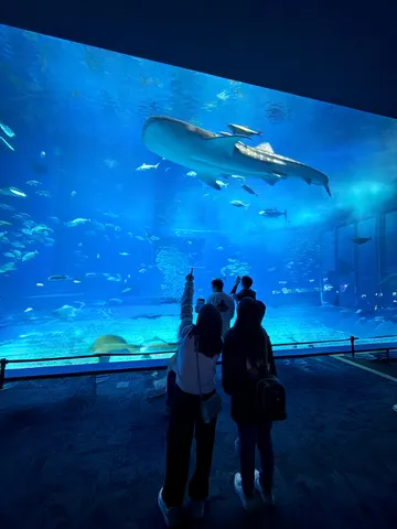 青の水槽に浮かぶ影