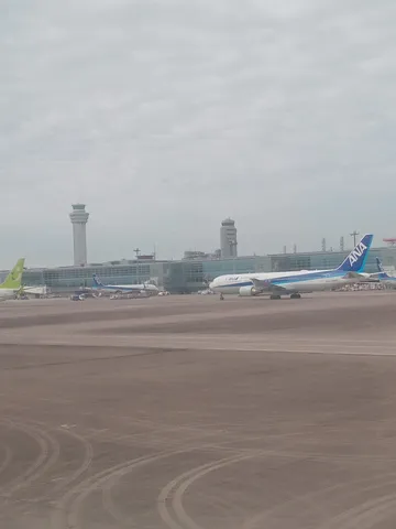 雨空に佇むANA機