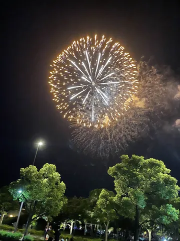 夜空に咲いた大輪の花