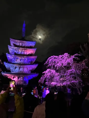 幻想的な夜の古塔と桜