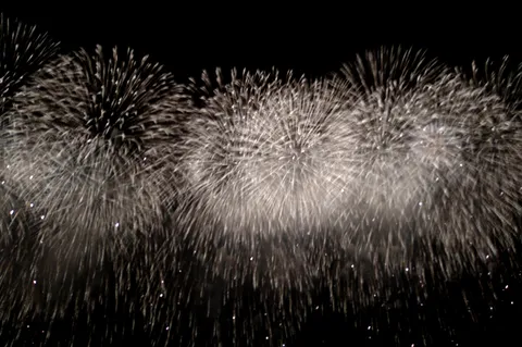 夜空に咲く華やかな光の芸術