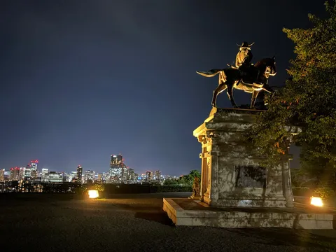 夜風に光る騎士像