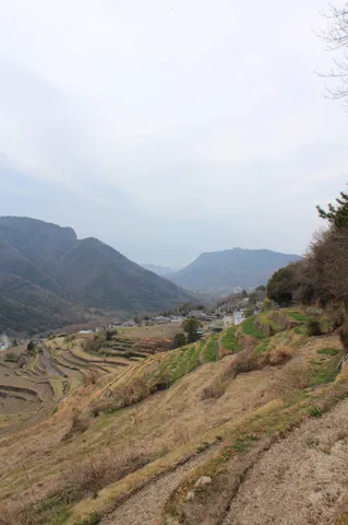 段々畑と遠くの山並み