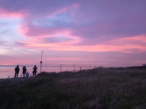 空と海、ピンクのグラデーション