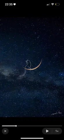 月夜の猫、宇宙の旅