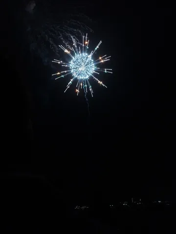夜空に咲いた光の花