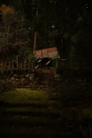 森に佇む朽ちゆく小屋