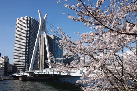 春色の川辺と鋼の橋