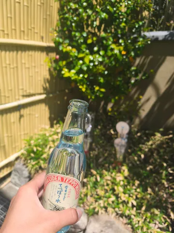 夏の日のラムネと竹垣