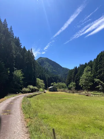 緑深き谷間の静寂