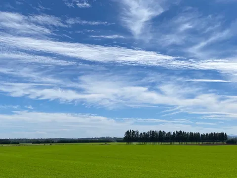 広がる緑と悠久の空