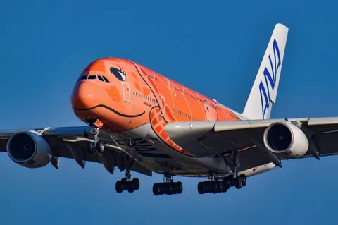 空飛ぶANAのマーライオン？
