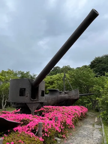 大砲とつつじの美しい対比