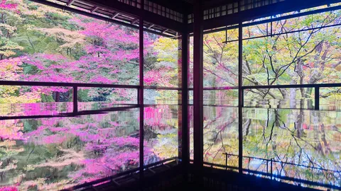 新緑と紅葉のコントラスト、水鏡に映る絶景