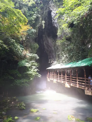 洞窟へと続く緑の回廊