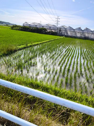 風と光と緑のシンフォニー