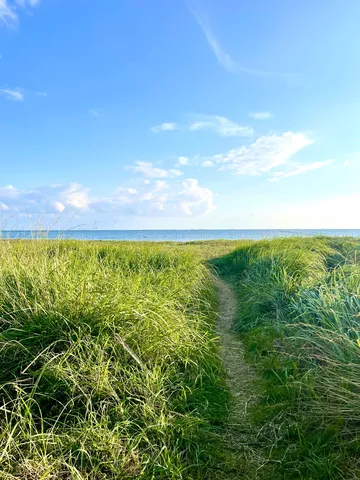 緑の小道、海へと続く道