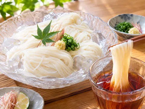 涼感と白糸のうどん