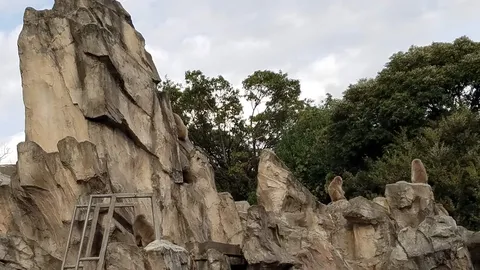 猿山