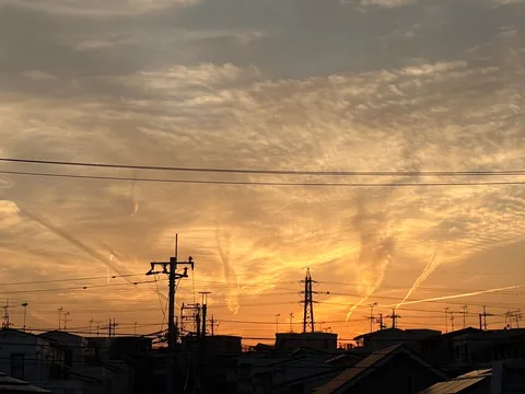 セカイの終焉