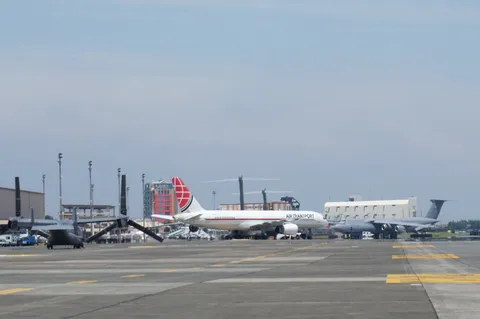 巨大な翼、静かな空港