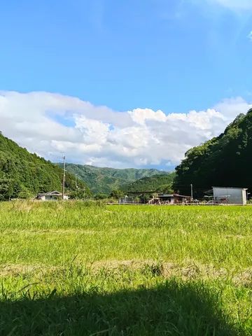夏空と広がる緑の里山