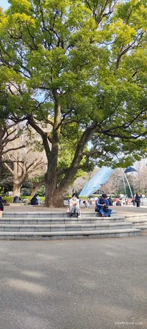 木漏れ日と静かな午後