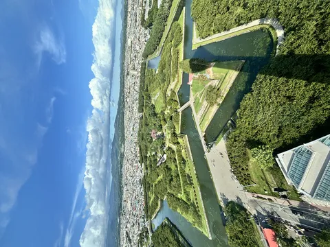 空から見下ろす緑の星
