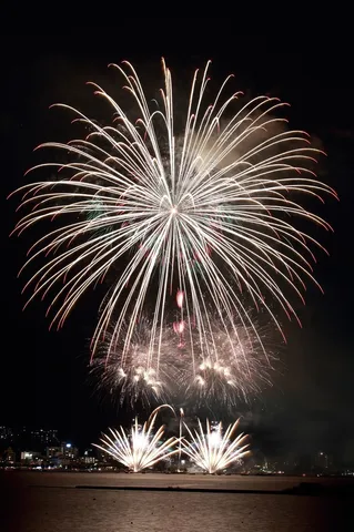 夜空を彩る光の華