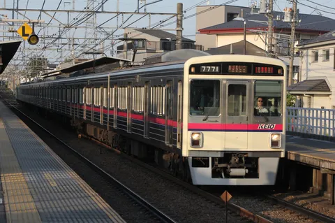 陽光を浴びて進む列車
