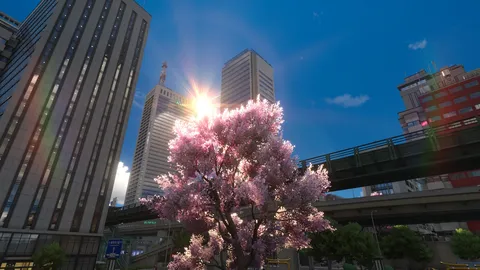 陽光きらめく都会の桜