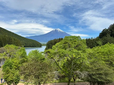 雪峰と新緑の静謐