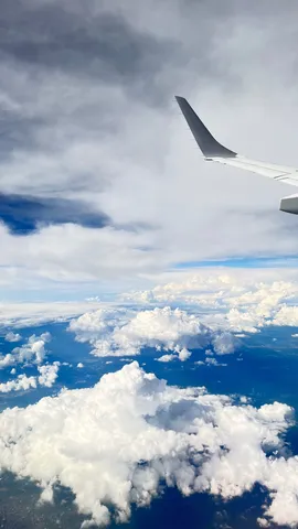 雲海に浮かぶ翼