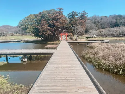 鳥居へ続く、水辺の小道