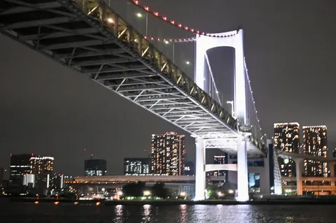 夜景に浮かぶレインボーブリッジ