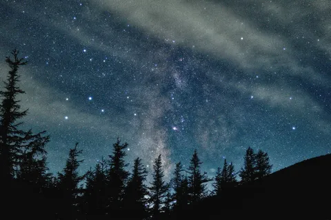 星空と森の幻想的な夜