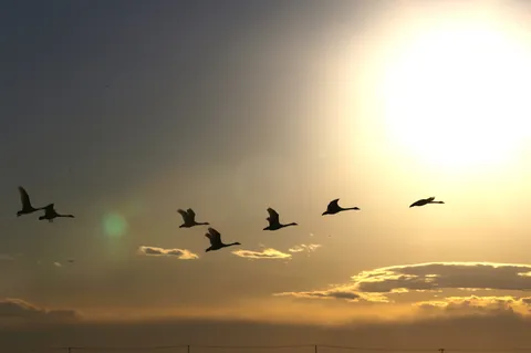 夕焼け空の一斉退勤