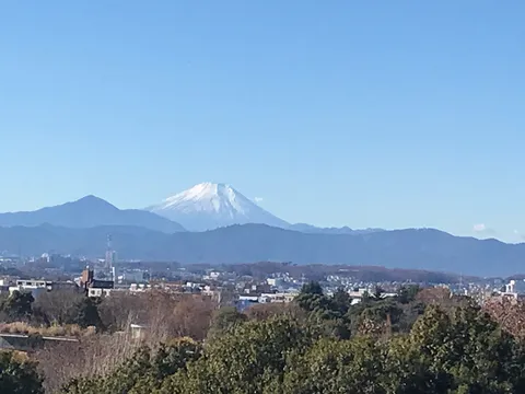 雪化粧の富士山と街並み