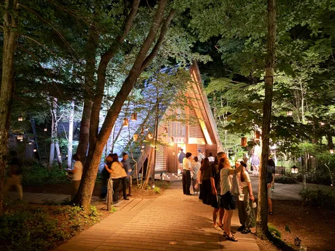 夜の森、光が紡ぐ物語の小径