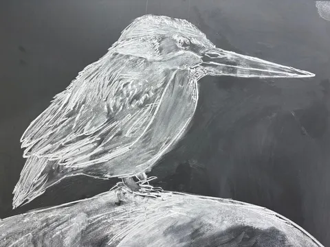 チョークで描いた力強い鳥の姿