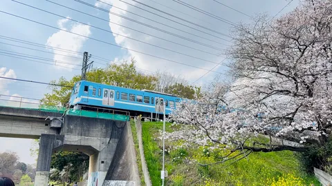 京王多摩川線
