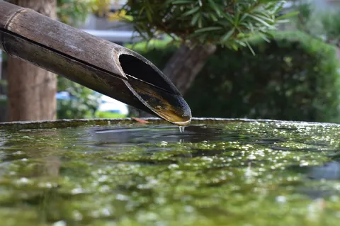 竹の滴る静寂の一滴