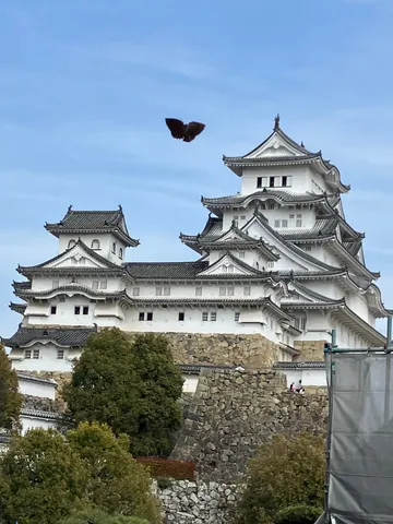 空飛ぶ蝶と白鷺城