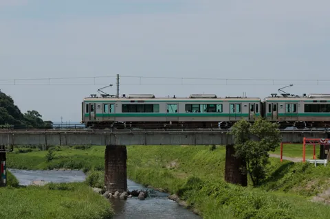 緑あふれる渓谷を走る列車